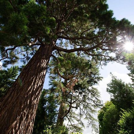 Gite Sequoia Centre Historique 바이외 외부 사진