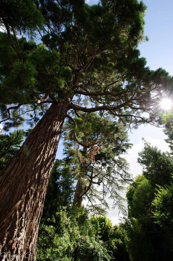 Gite Sequoia Centre Historique 바이외 외부 사진