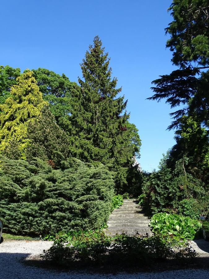 Gite Sequoia Centre Historique 바이외 외부 사진